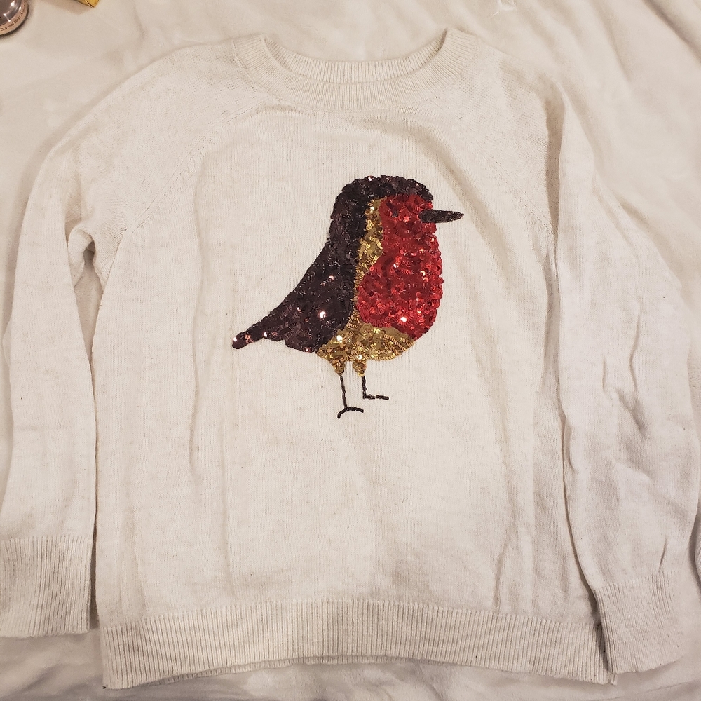 H&M Sequin Robin Long Sleeve Sweater